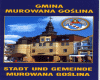 Stadt Murowana Goslina